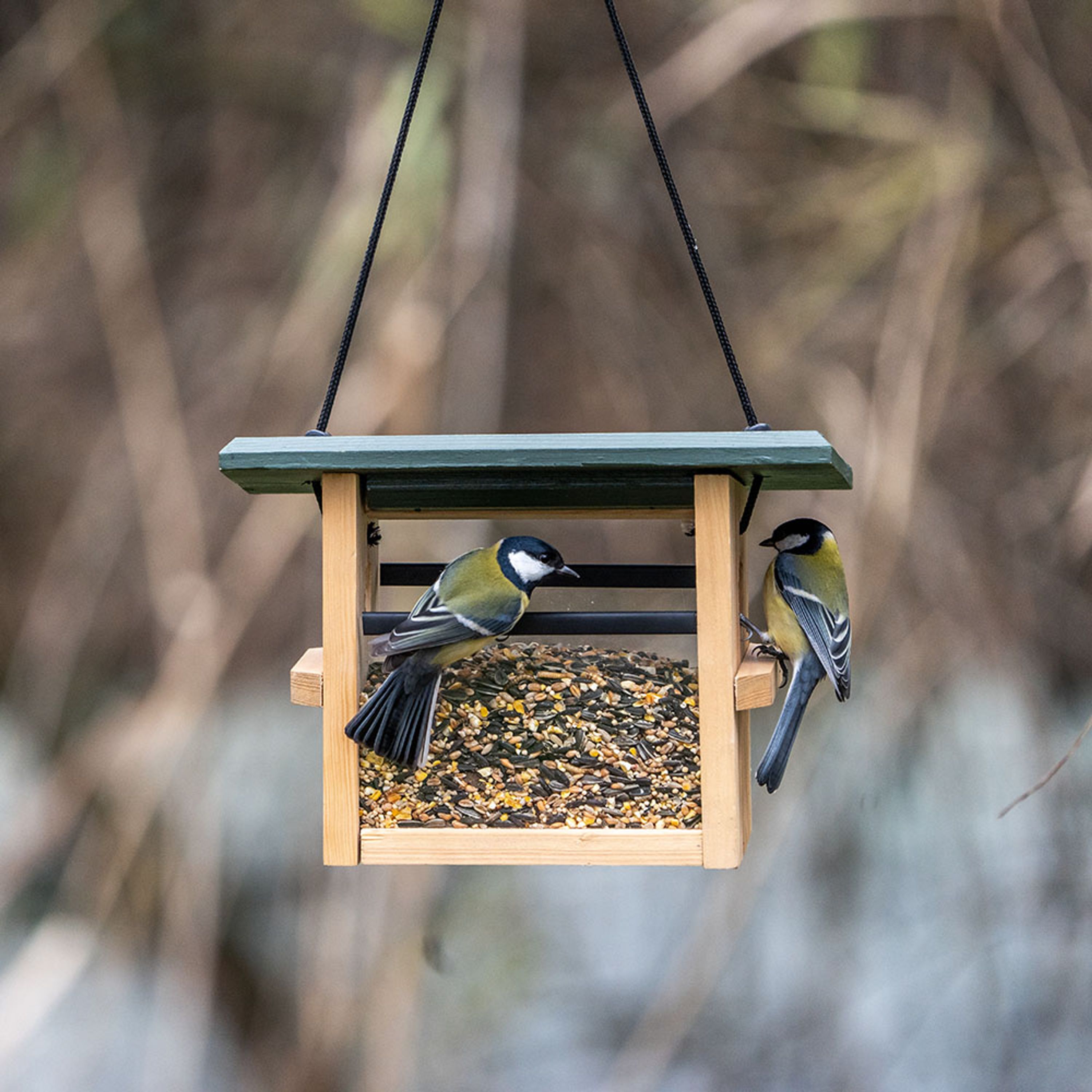Futterhaus „Eindhoven“ für kleine Vögel, zum Aufhängen | CJ Wildlife